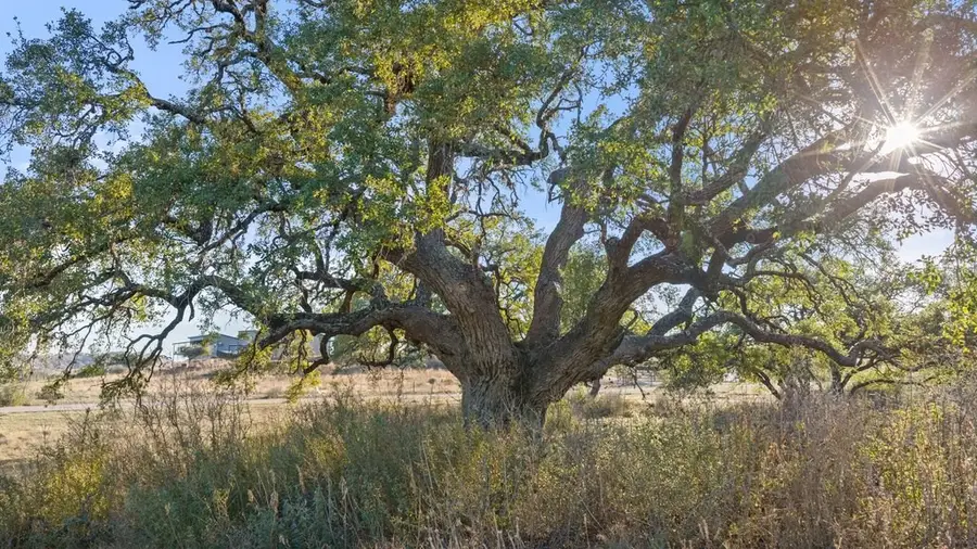 885 Stanton Rd., Johnson City, TX 78636 - #2