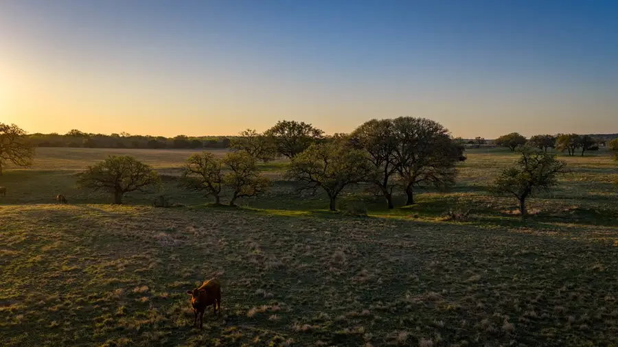 348 Blau Lane, Hext, TX 76848 - #3