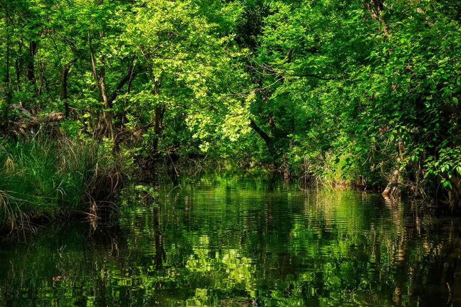 199 Lexington Dr, Fredericksburg, TX 78624 - #2