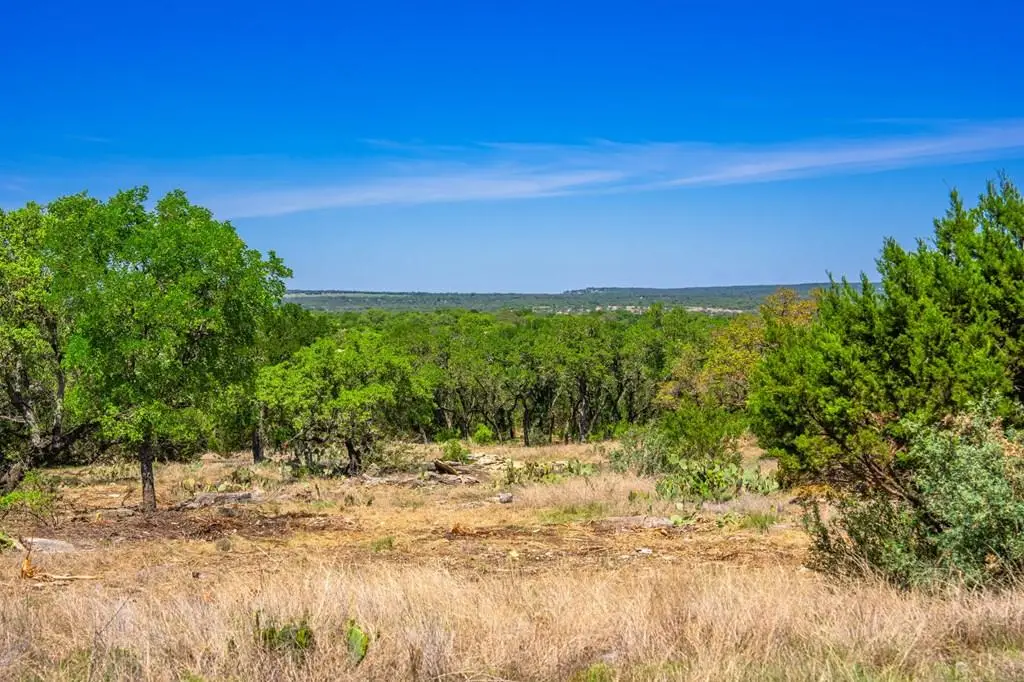 853 Elm Ridge Rd, Fredericksburg, TX 78624 - #1