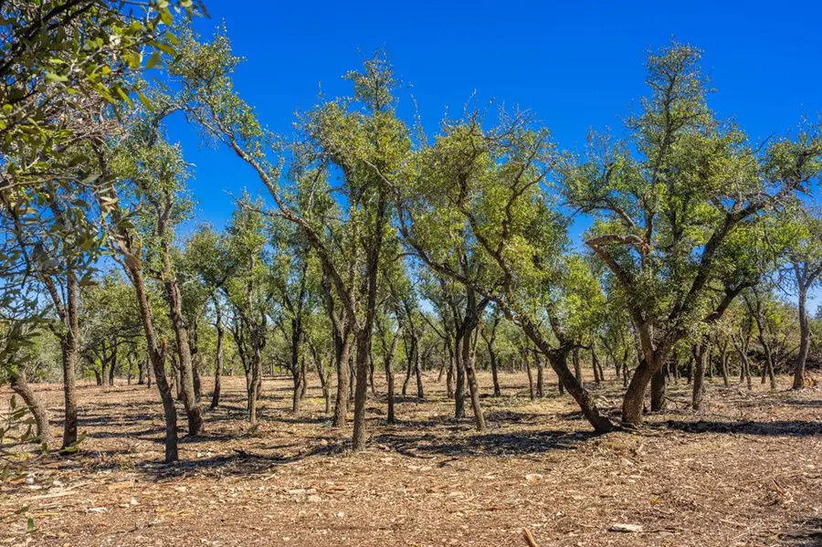 0000 Keese Rd, Fredericksburg, TX 78624 - #2