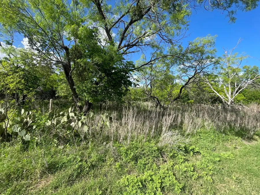 410 Pecan St, Menard, TX 76859 - #3
