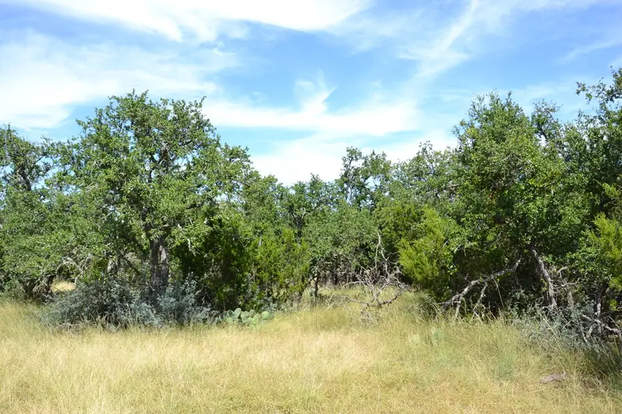 1000 Duderstadt Rd, Harper, TX 78631 - #3