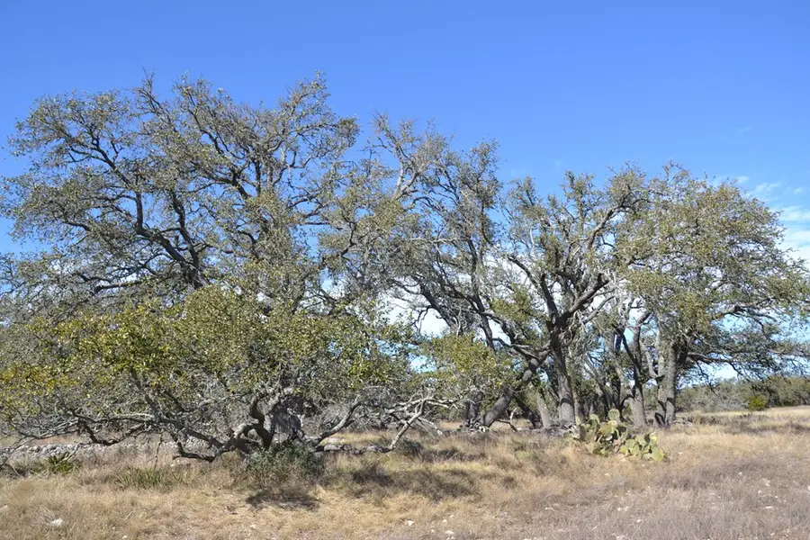 1150 Duderstadt Rd, Harper, TX 78631 - #2