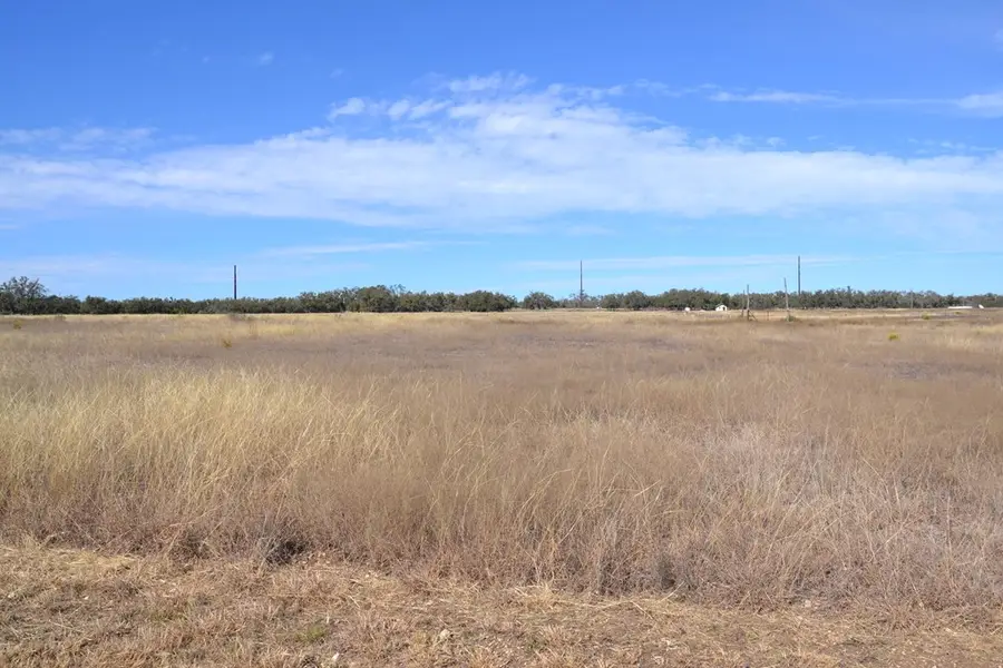 101 Roan Meadows Ln, Harper, TX 78631 - #2