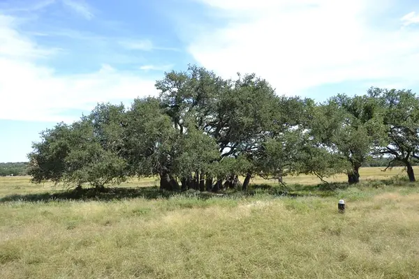 1152 Duderstadt Rd, Harper, TX 78631