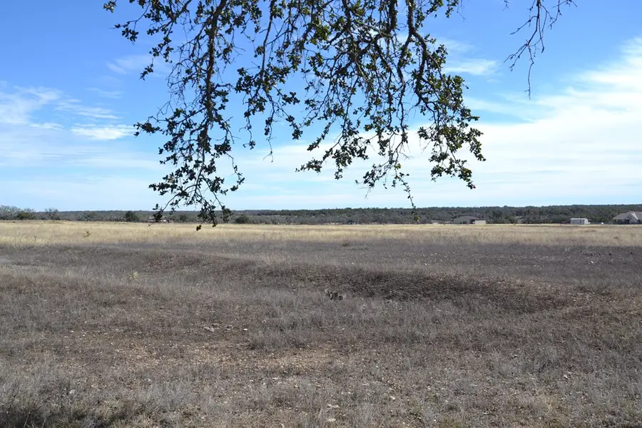 1152 Duderstadt Rd, Harper, TX 78631 - #3