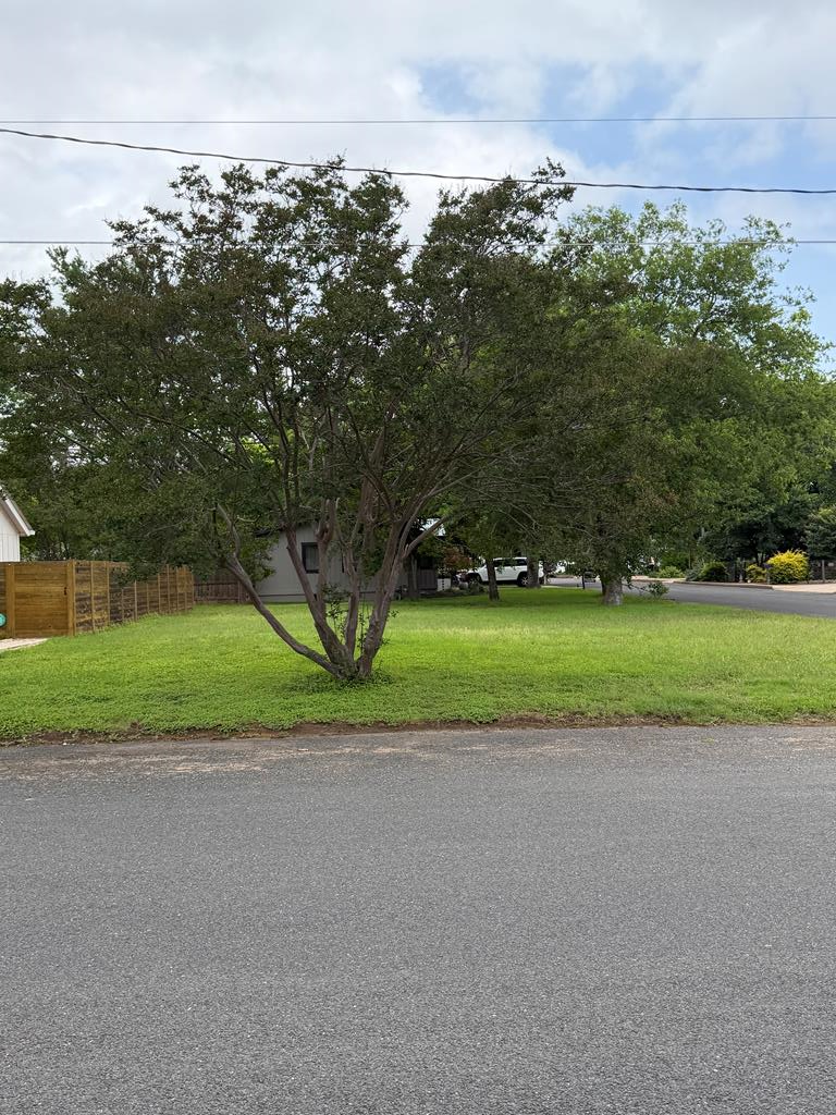 302 W Hackberry St, Fredericksburg, TX 78624 - #1