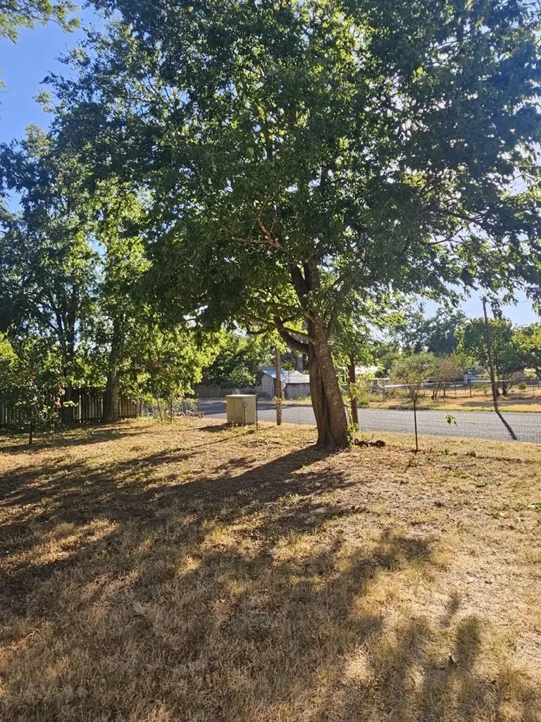 907 N Crockett St, Fredericksburg, TX 78624 - #2