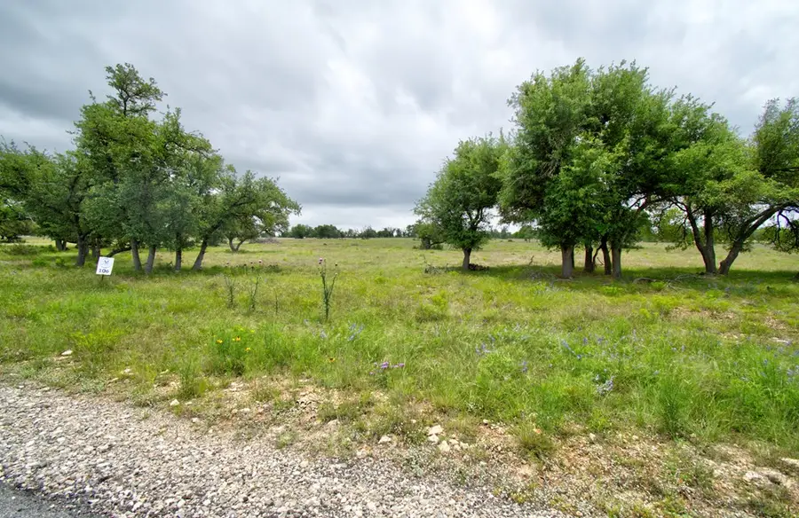 Lot 106 Oryx View Dr, Harper, TX 78631 - #3