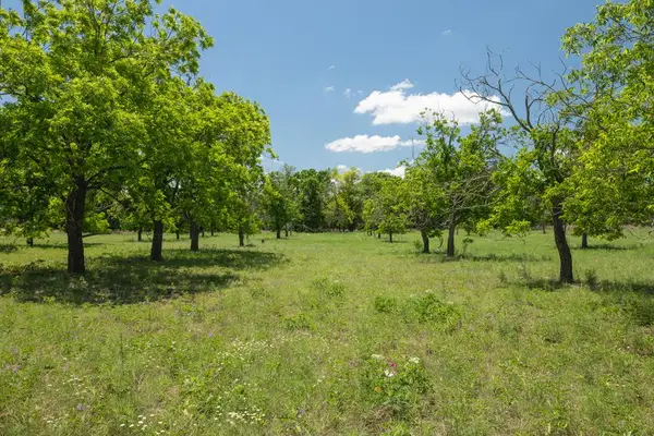 10 Baj Ln, Fredericksburg, TX 78624