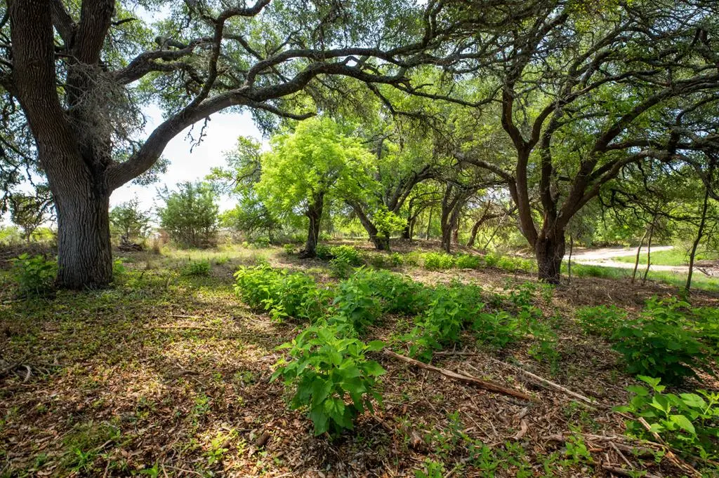 12 Baj Ln, Fredericksburg, TX 78624 - #1
