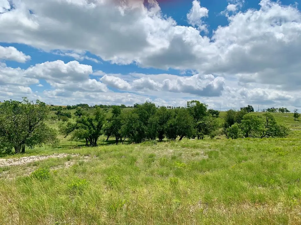 LOT 14 Badger Ridge Rd, Fredericksburg, TX 78624 - #1