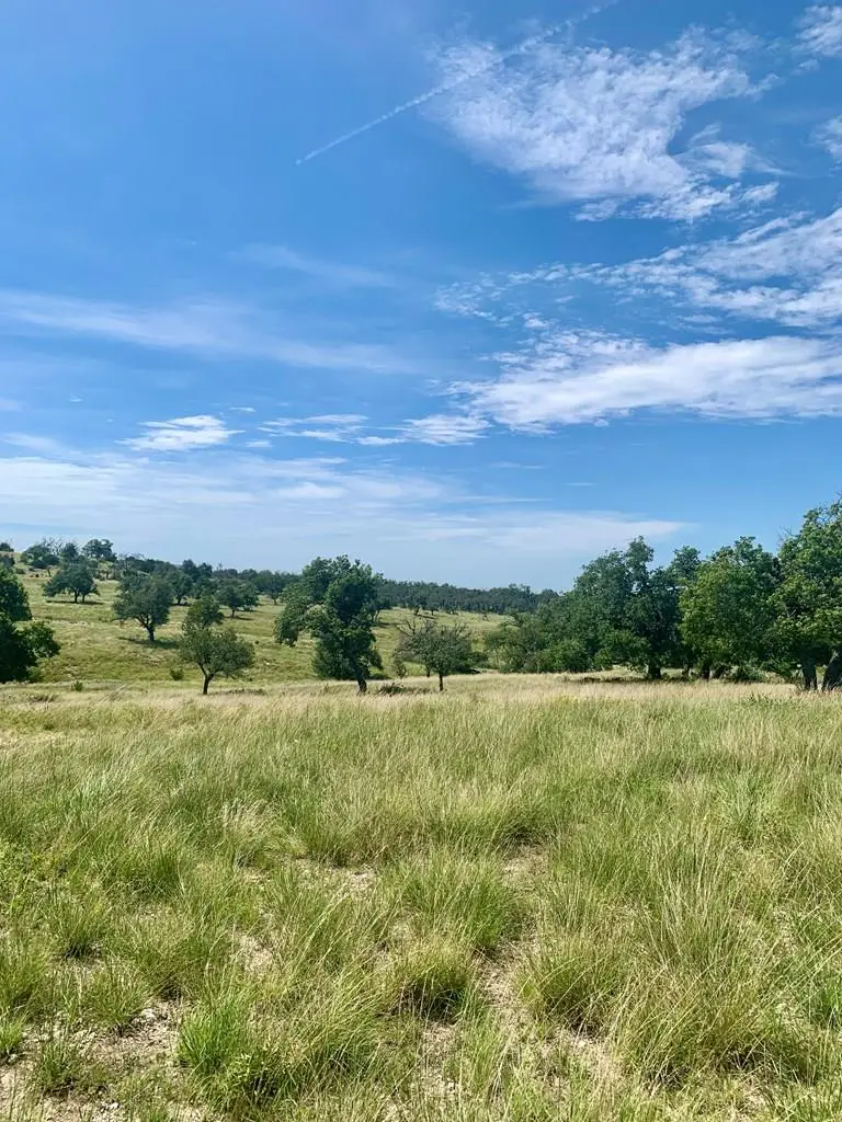 Address Withheld By Seller, Fredericksburg, TX 78624 - #1
