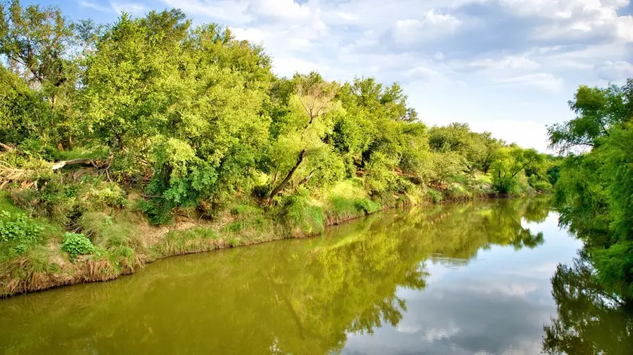 6253 County Rd 121, San Saba, TX 76877 - #2