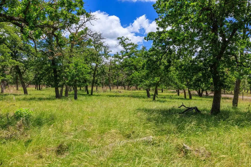 2100 Grape Creek Rd, Fredericksburg, TX 78624 - #1