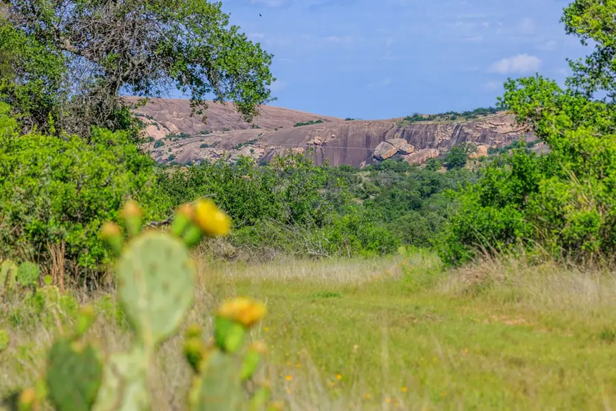 240 Granite Lake Trail, Fredericksburg, TX 78624 - #3
