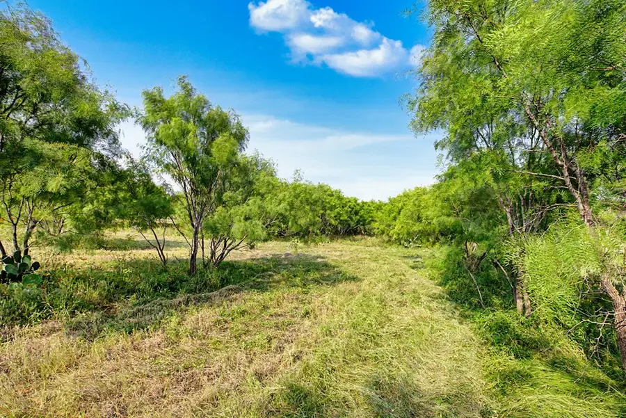 179 Woodland Dr, Fredericksburg, TX 78624 - #3