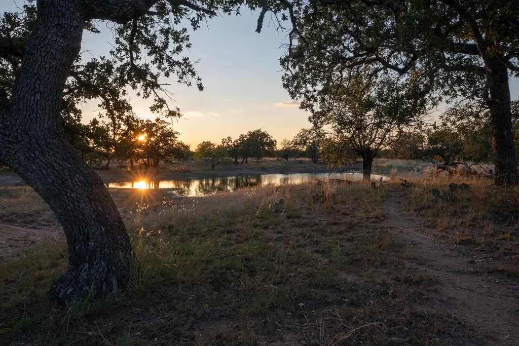 Address Withheld By Seller, Fredonia, TX 76842 - #1