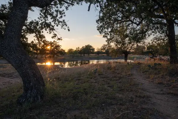 Address Withheld By Seller, Mason, TX 76842