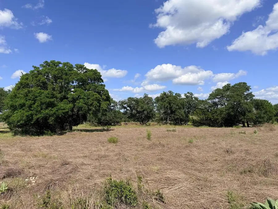 485 Inspiration Loop, Fredericksburg, TX 78624 - #2