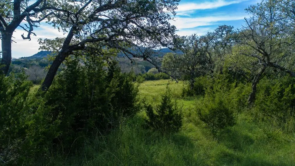 717 Bluff Ridge Trail, Blanco, TX 78606 - #1
