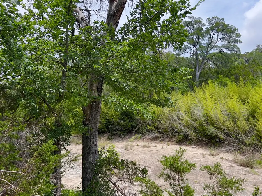 TBD Narrows Rd, Blanco, TX 78606 - #3