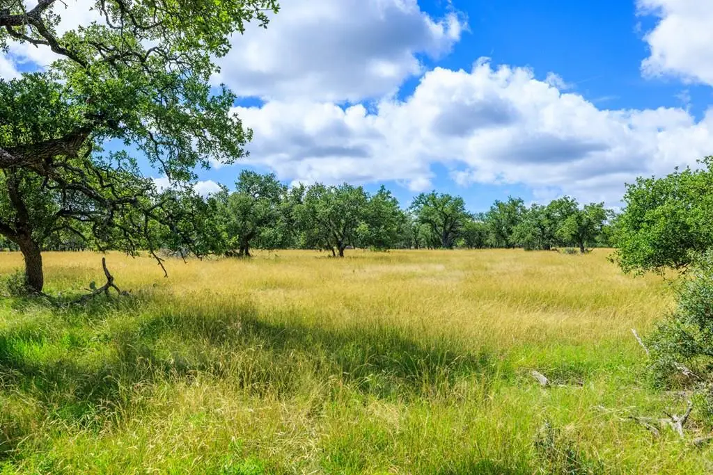 Lot 94 Stock Pond Dr, Harper, TX 78631 - #1