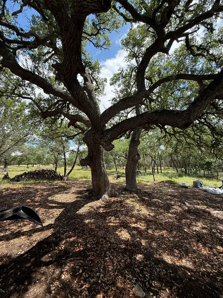 589 Rolling Hills Rd., Blanco, TX 78606 - #3