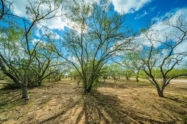 47 Baxter Blvd, Fredericksburg, TX 78624