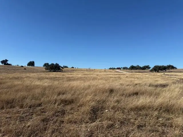 25 Reeh Rd, Fredericksburg, TX 78624 - #1