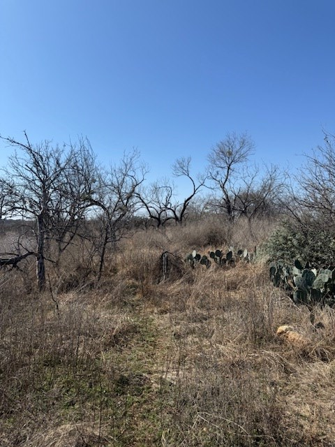 TBD Hale St, Llano, TX 78643 - #3