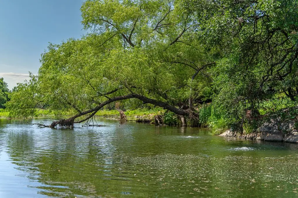 00 S Hwy 87, Mason, TX 76856 - #1