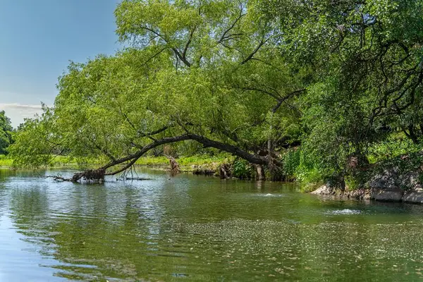 00 S Hwy 87, Mason, TX 76856