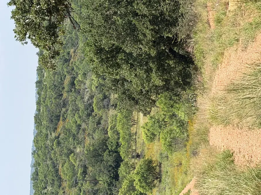 000 Little Willow Creek Road, Mason, TX 76856 - #2