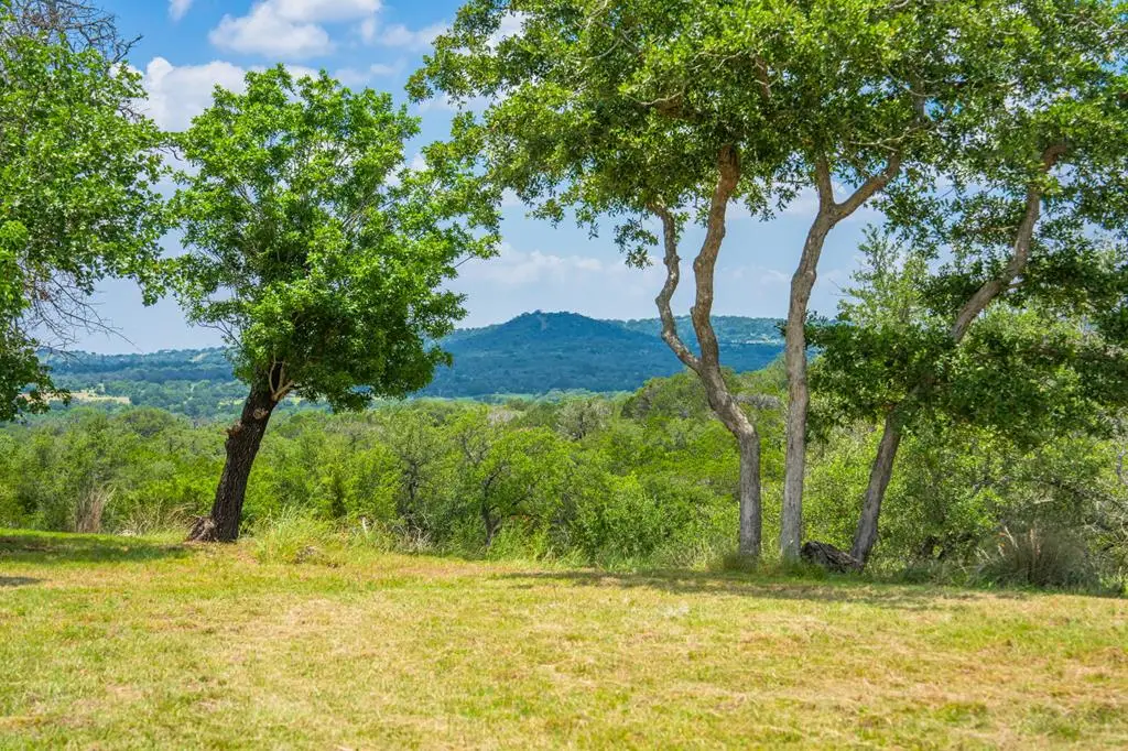 241 Old #9 Hwy, Comfort, TX 78013 - #1