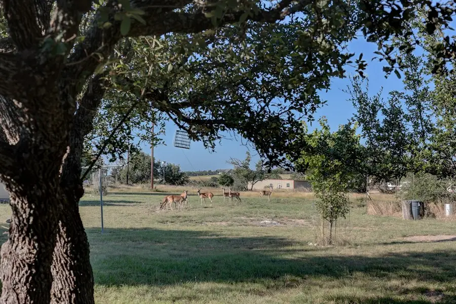 680 Wind Ridge Dr., Harper, TX 78631 - #2