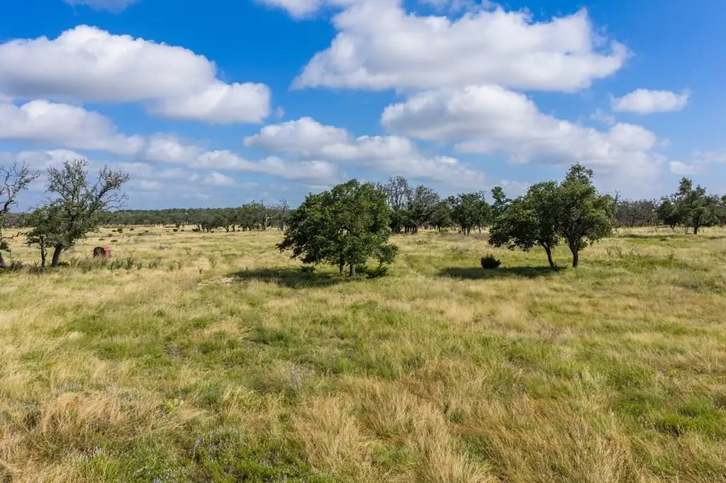 436 Stevens Ranch Rd, Harper, TX 78631 - #1