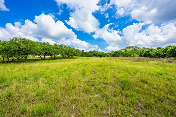 147 Gray Wolf, Blanco, TX 78606