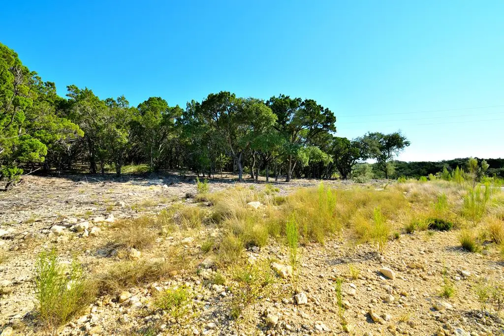 Lot 8 Private Road 1708, Mico, TX 78056 - #1