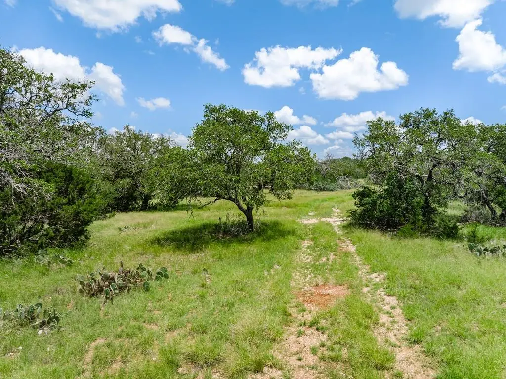1632 Link, Doss, TX 78618 - #1