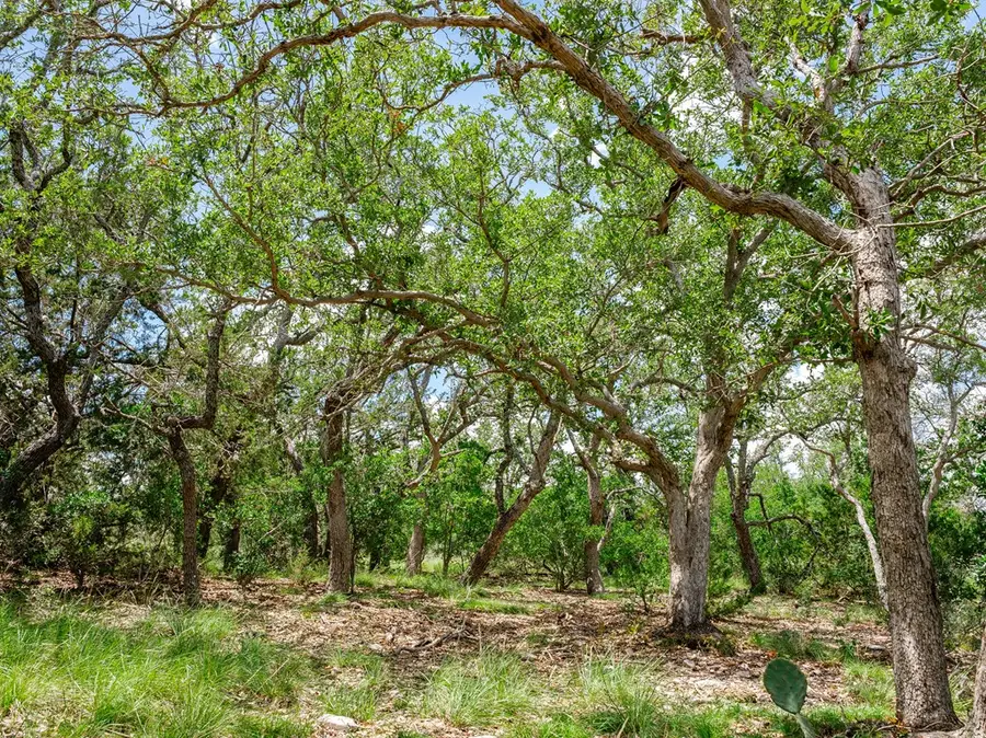 1632 Link, Doss, TX 78618 - #3