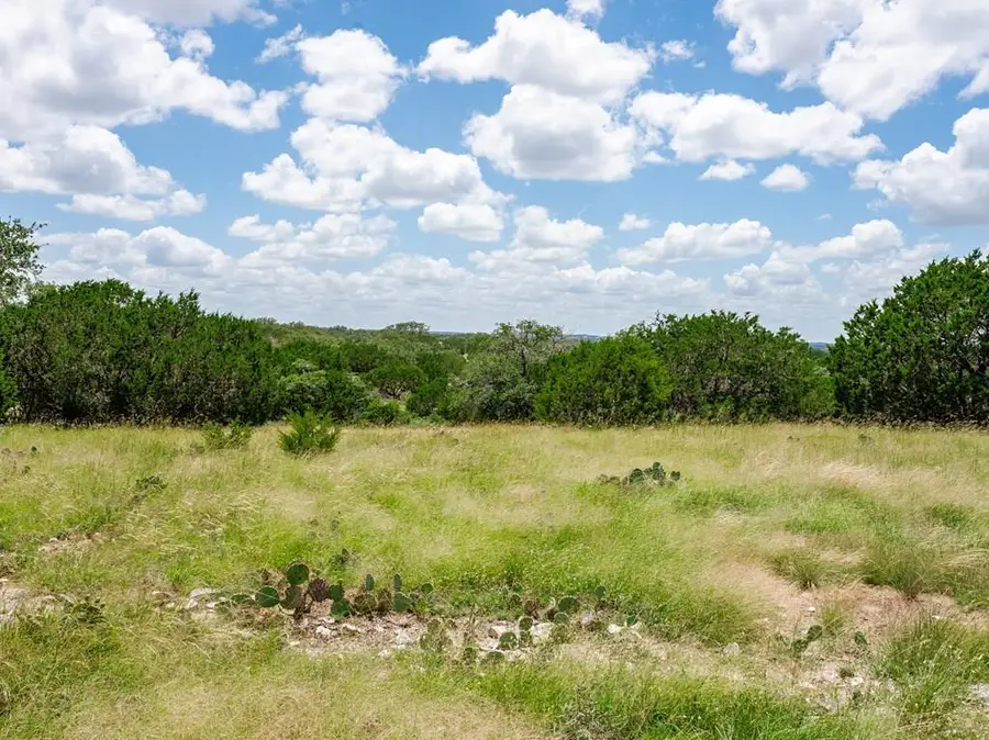 1632 Link, Doss, TX 78618 - #3