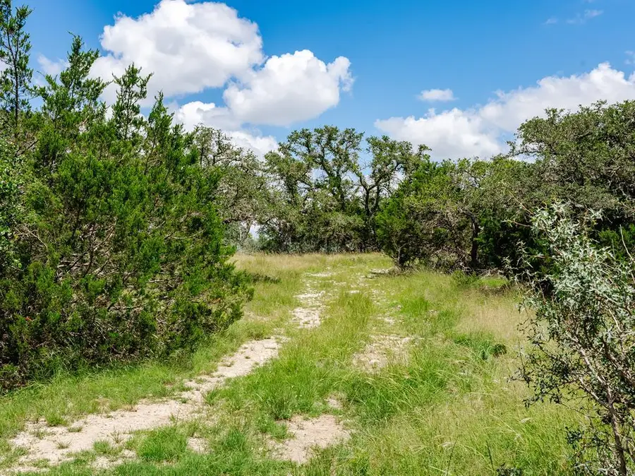 1632 Link, Doss, TX 78618 - #3
