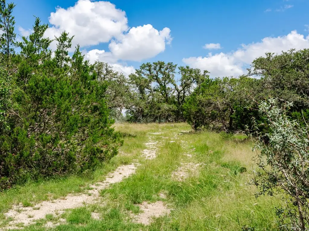 1632 Link, Doss, TX 78618 - #1