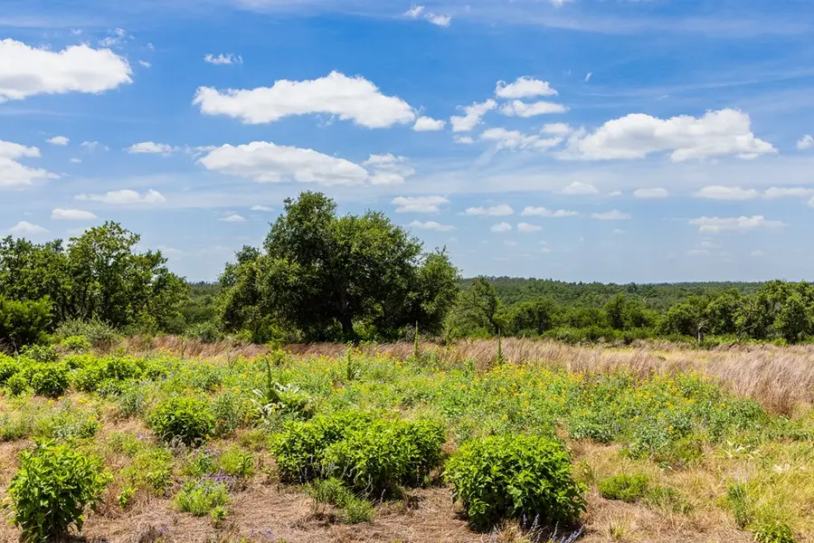 Lot 37 Boot Ranch Circle, Fredericksburg, TX 78624 - #3