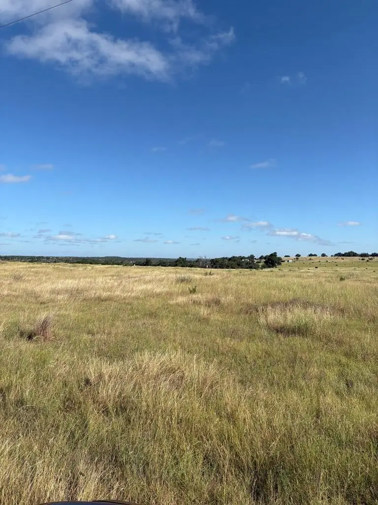 275 Painted Pony Rd, Harper, TX 78631 - #2