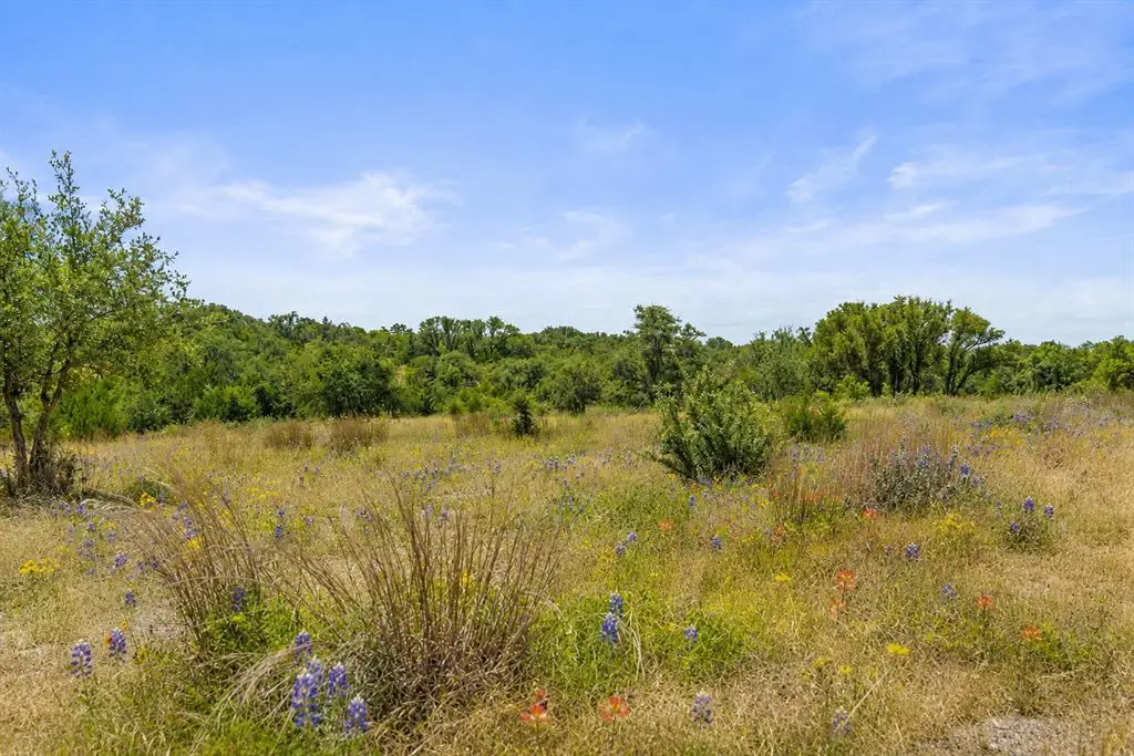 207 Verbena, Johnson City, TX 78636 - #1