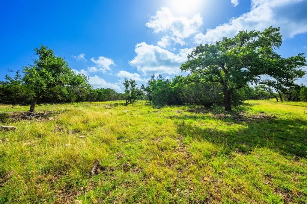 0000 Keese Rd, Fredericksburg, TX 78624 - #1