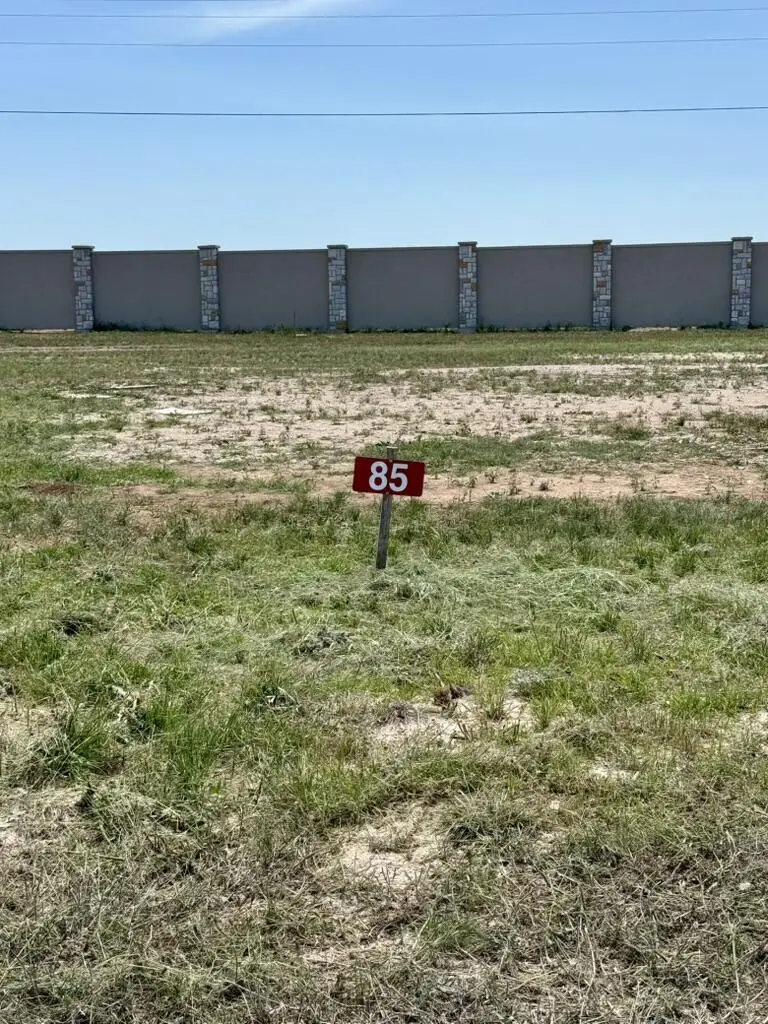85 Arch Ray Lp, Fredericksburg, TX 78620 - #1